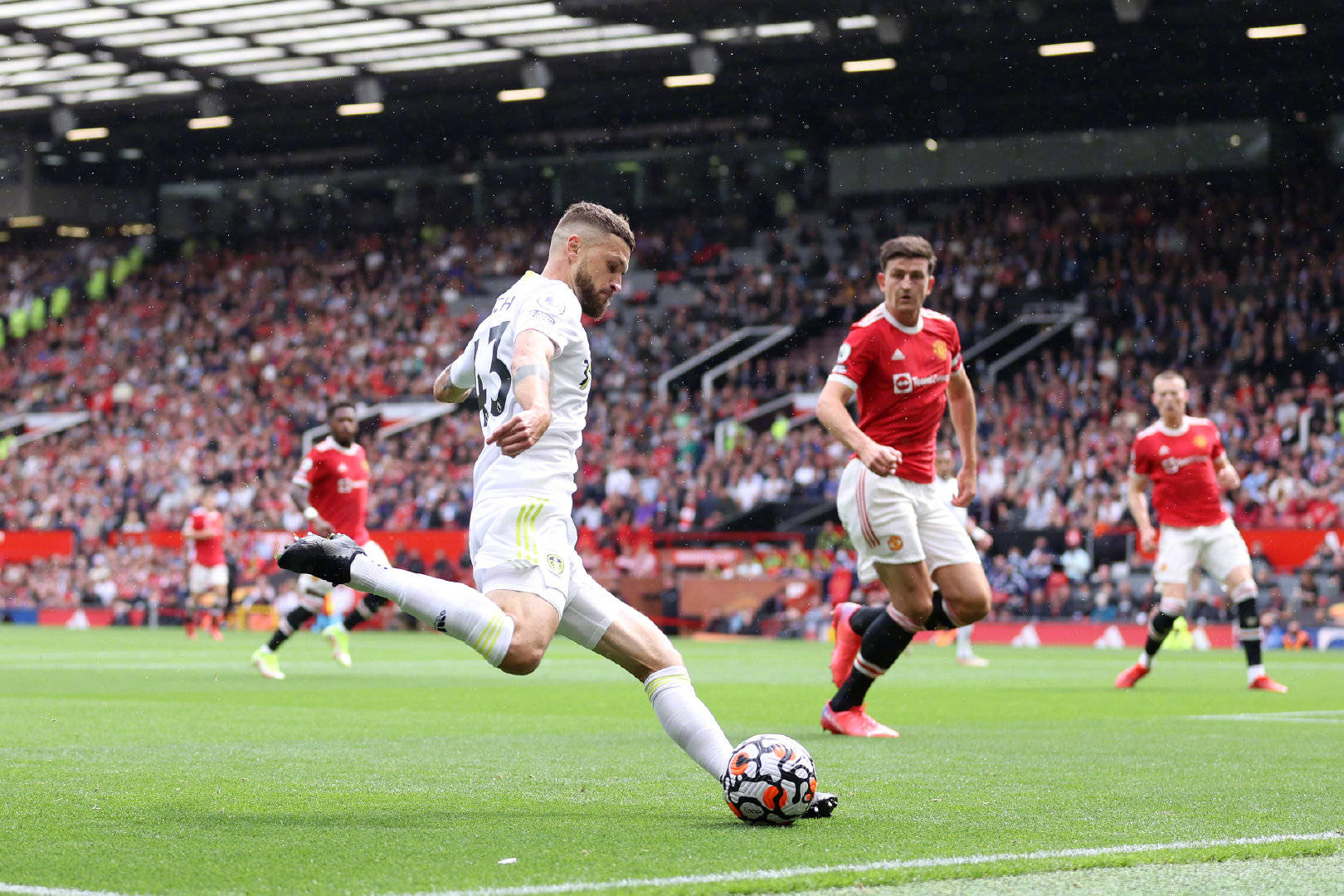 自由選擇贊 自由選擇贊